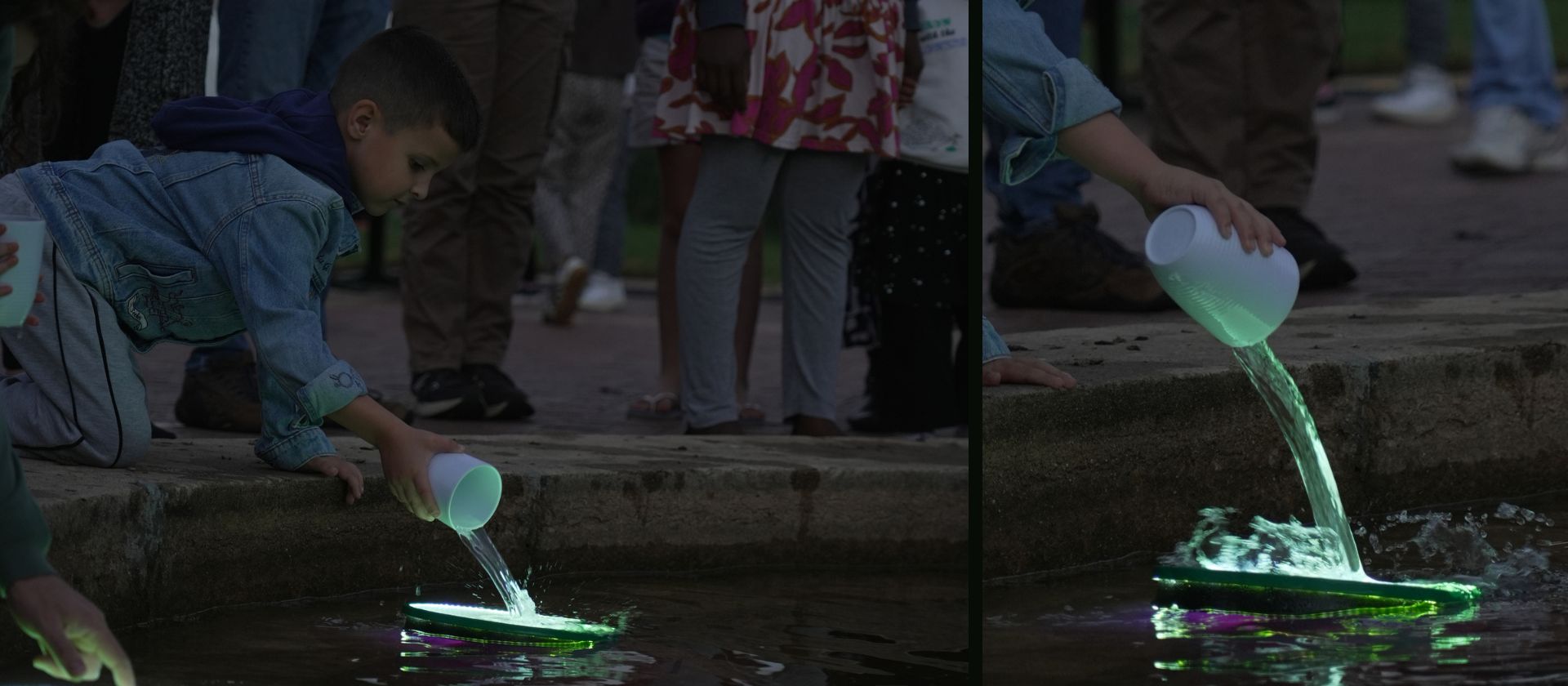 Lily Pad 07